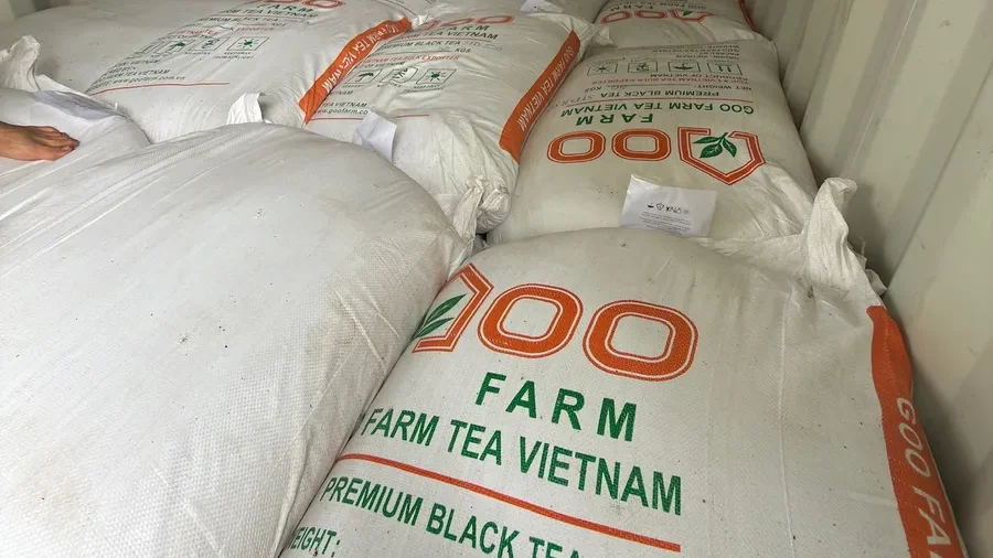 Export sacks of Vietnamese black tea being loaded into a container at Goo Farm Tea Vietnam