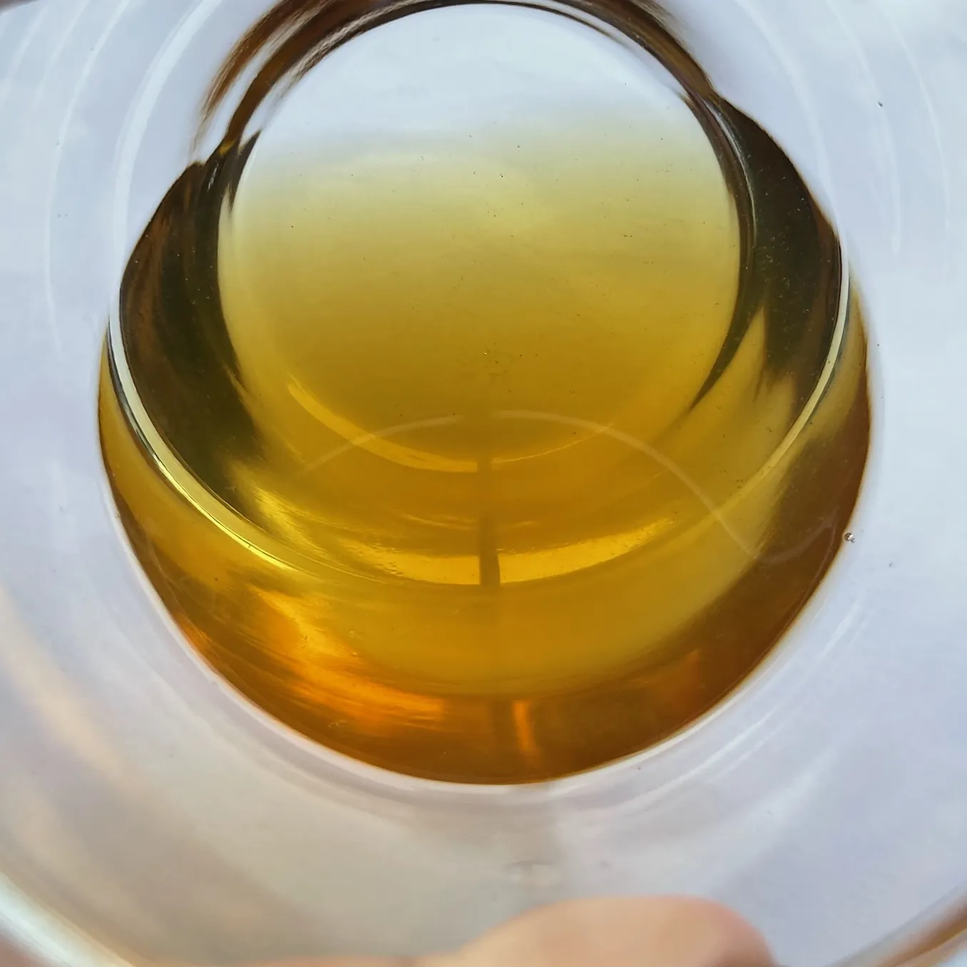 Goo Farm Tea Vietnam kompaniyasining Yasminli OP koʻk choyi shisha piyolada damlangan: yorqin sariq damlama