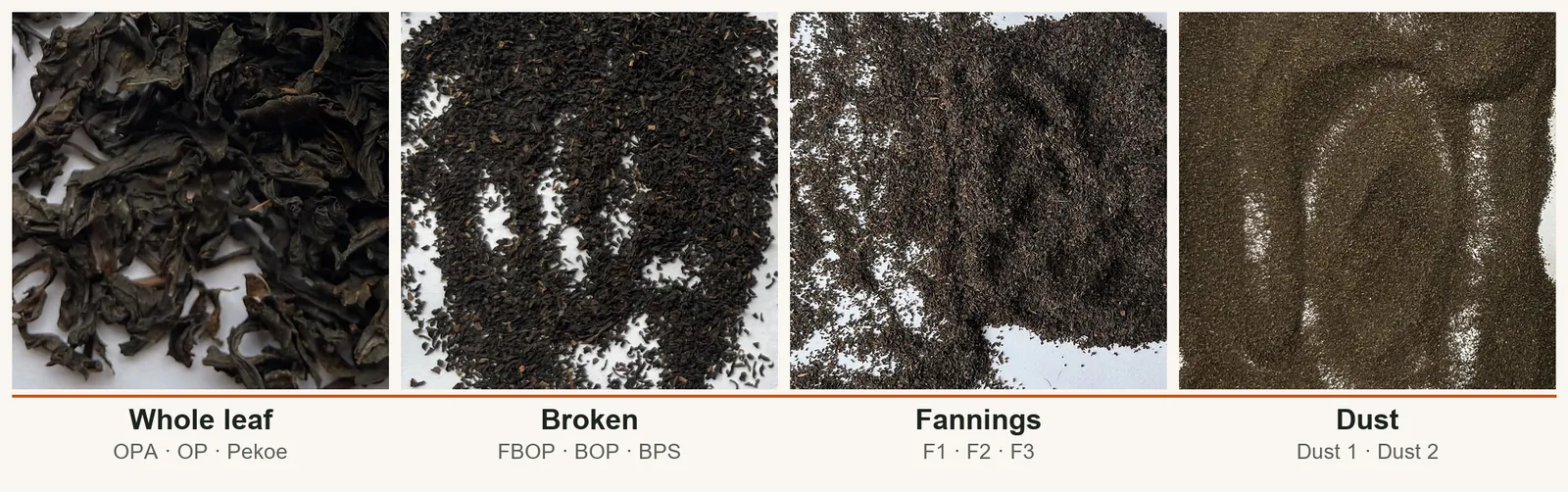 Tea leaf grades by size from Goo Farm samples: whole leaf OPA, OP and Pekoe, broken FBOP, BOP and BPS, fannings F1 to F3, and dust